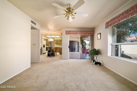 8218 E Nido Ave, Mesa, AZ 85209 photo 16