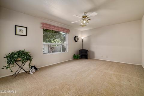 8218 E Nido Ave, Mesa, AZ 85209 photo 15