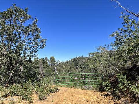 00 S Bud Rd #-, Crown King, AZ 86343