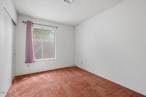 1615 E Apollo Rd, Phoenix, AZ 85042 photo 21