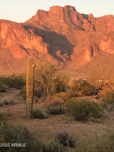 1879 N Hilton Rd, Apache Junction, AZ 85119 photo 83