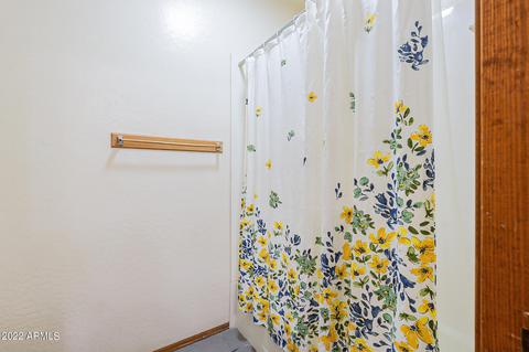 2655 E Hale St, Mesa, AZ 85213 photo 33