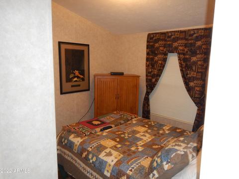 2882 Long Rifle Pl, Overgaard, AZ 85933 photo 7