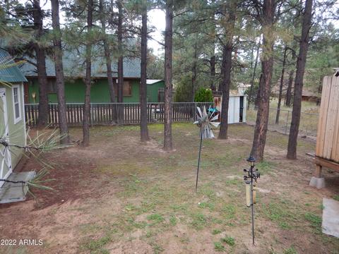 2882 Long Rifle Pl, Overgaard, AZ 85933 photo 19