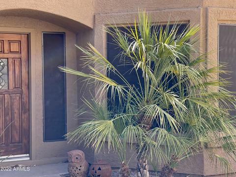 249 E Vaughn Ave, Gilbert, AZ 85234 photo 16