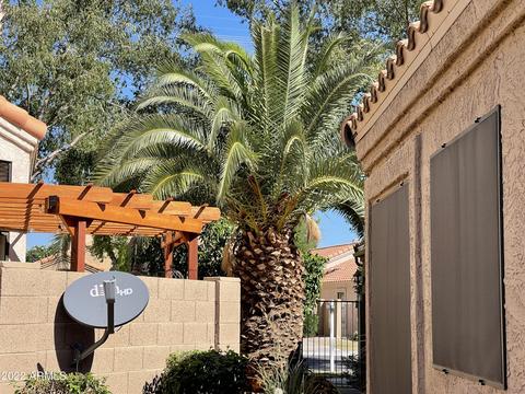 249 E Vaughn Ave, Gilbert, AZ 85234 photo 14