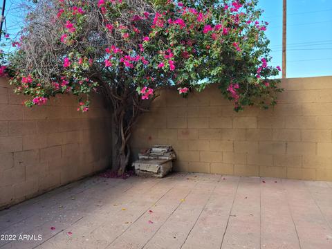 4602 E Riverside St, Phoenix, AZ 85040 photo 6