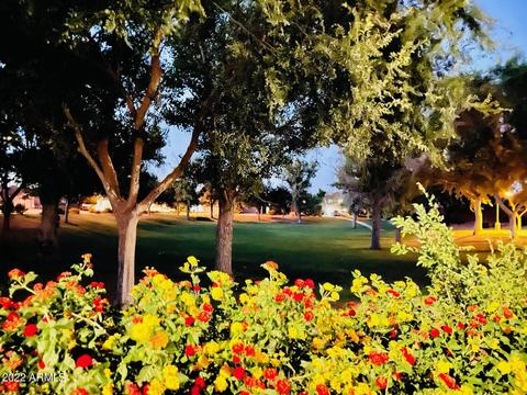 10159 E Knowles Ave, Mesa, AZ 85209 photo 15