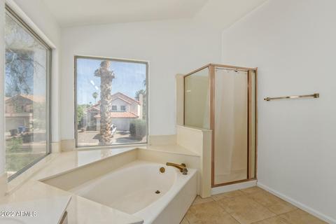 456 E Silver Creek Rd, Gilbert, AZ 85296 photo 38