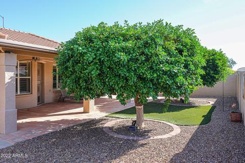 11019 E Kiva Ave, Mesa, AZ 85209 photo 27