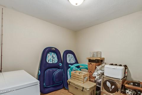 2233 Evergreen St, Mesa, AZ 85213 photo 20