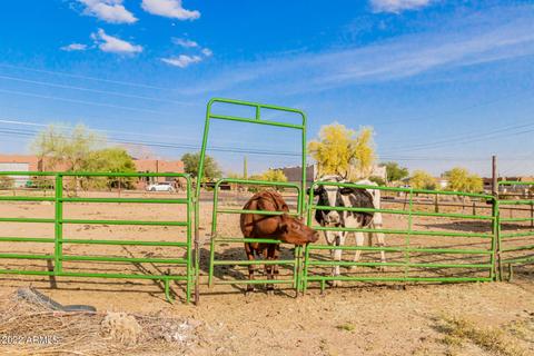 4980 N Ironwood Dr, Apache Junction, AZ 85120 photo 24