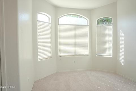 4125 S 56th Dr, Phoenix, AZ 85043 photo 44
