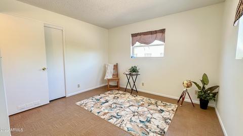 6311 E Decatur St, Mesa, AZ 85205 photo 13