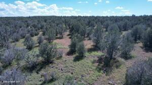 1798 W Ivas Way #C, Williams, AZ 86046