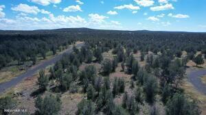 1798 W Ivas Way #D, Williams, AZ 86046