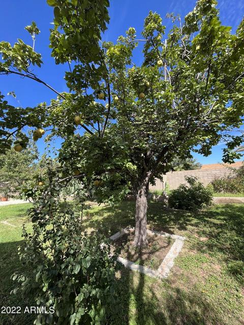 2340 E 13th St, Douglas, AZ 85607 photo 32