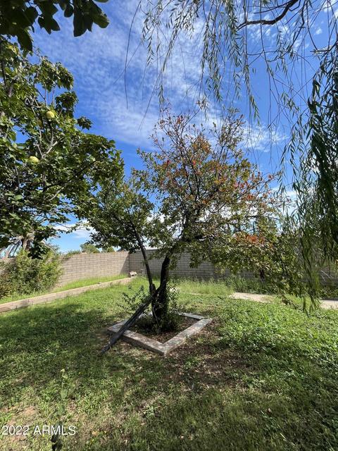 2340 E 13th St, Douglas, AZ 85607 photo 39