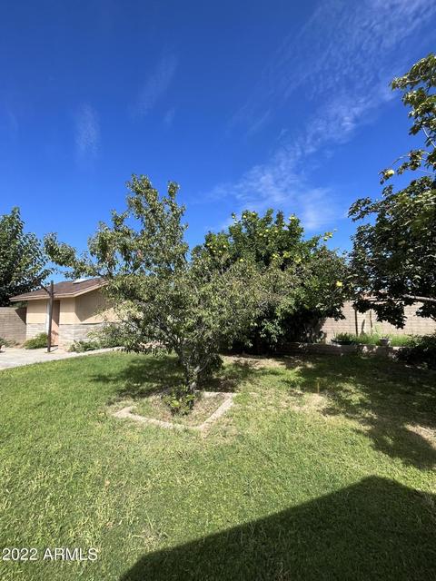 2340 E 13th St, Douglas, AZ 85607 photo 38