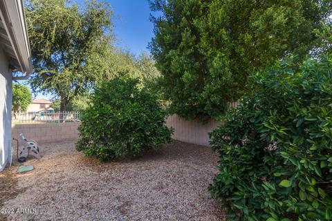 941 S Colonial Dr, Gilbert, AZ 85296 photo 17
