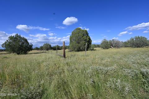 01 W Terry Ln #-, Williams, AZ 86046