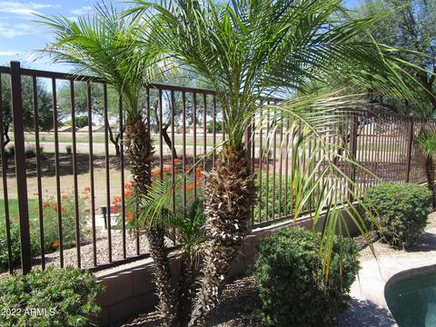 3919 E Blue Sage Rd, Gilbert, AZ 85297 photo 16
