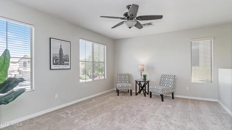 7217 E Norwood St, Mesa, AZ 85207 photo 13
