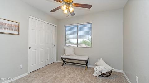 7217 E Norwood St, Mesa, AZ 85207 photo 24