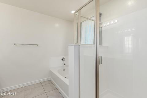 10003 E Gamma Ave, Mesa, AZ 85212 photo 31