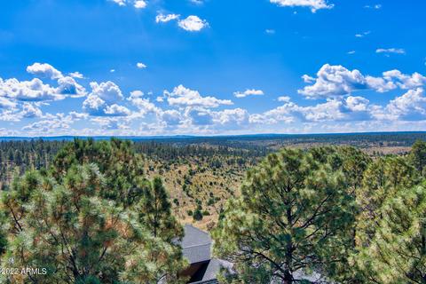 2778 Wild Turkey --, Overgaard, AZ 85933 photo 7