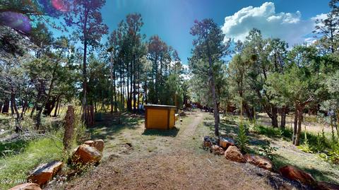 2778 Wild Turkey --, Overgaard, AZ 85933 photo 42