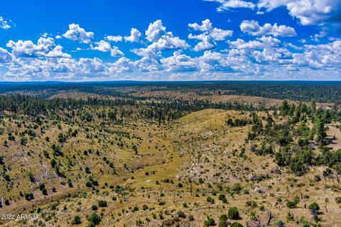 2778 Wild Turkey --, Overgaard, AZ 85933 photo 6