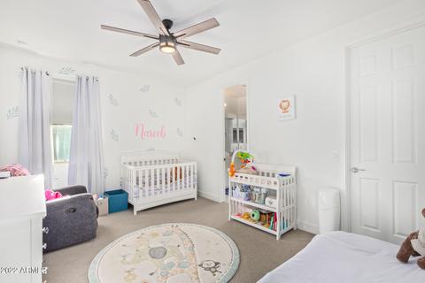 10244 E Seismic Ave, Mesa, AZ 85212 photo 43