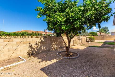 4748 E Florian Cir, Mesa, AZ 85206 photo 42