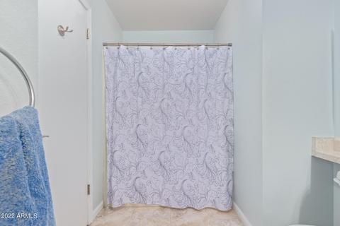 2925 E Voltaire Ave, Phoenix, AZ 85032 photo 35