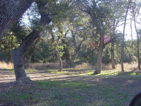 52975 E Harper Rd #0, Miami, AZ 85539 photo 2