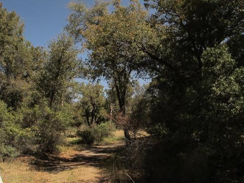 52975 E Harper Rd #0, Miami, AZ 85539 photo 27