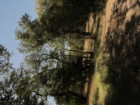 52975 E Harper Rd #0, Miami, AZ 85539 photo 26