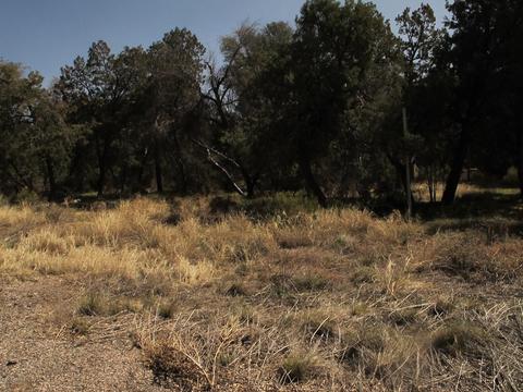 52975 E Harper Rd #0, Miami, AZ 85539 photo 16