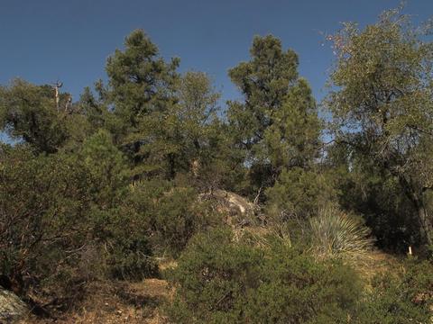 52975 E Harper Rd #0, Miami, AZ 85539 photo 8