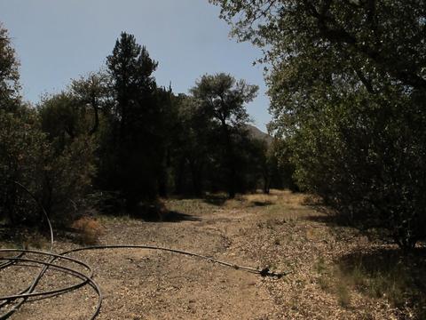 52975 E Harper Rd #0, Miami, AZ 85539 photo 22