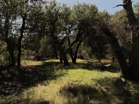 52975 E Harper Rd #0, Miami, AZ 85539 photo 24