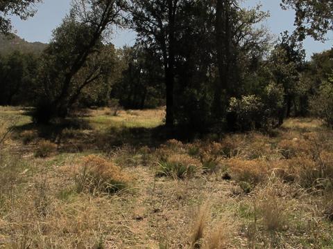 52975 E Harper Rd #0, Miami, AZ 85539 photo 19