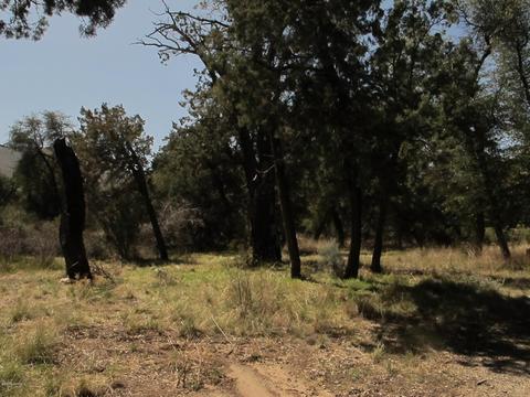52975 E Harper Rd #0, Miami, AZ 85539 photo 31
