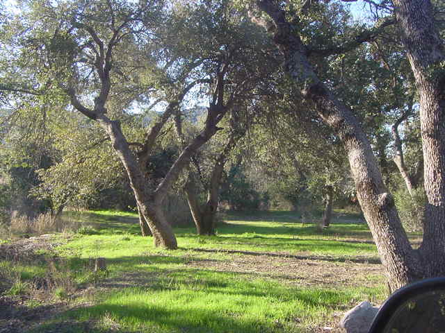 52975 E Harper F Rd Unit 0  