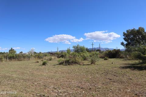 9545 E Olive Ave, Hereford, AZ 85615 photo 4