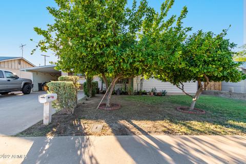 9808 N 17th Dr, Phoenix, AZ 85021 photo 14
