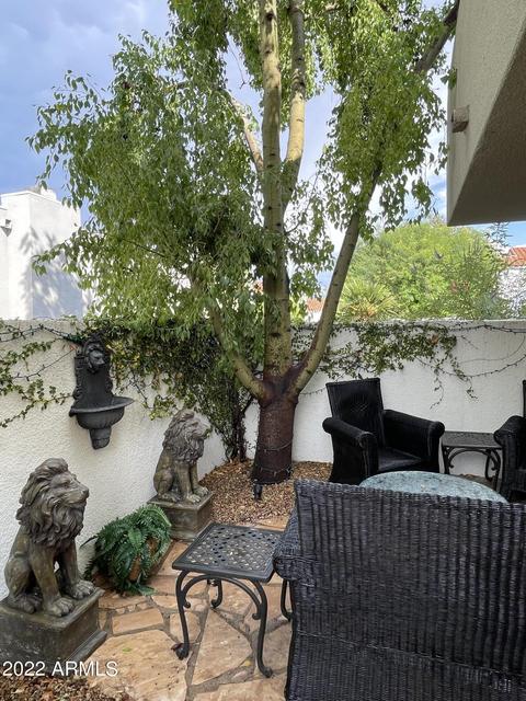 2334 E Gelding Dr, Phoenix, AZ 85022 photo 35