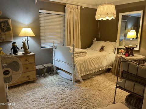 2334 E Gelding Dr, Phoenix, AZ 85022 photo 48