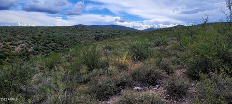 lot1 N Pima Pl #1, Tombstone, AZ 85638